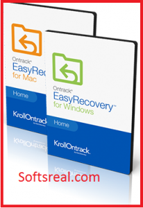 ontrack easyrecovery professional version